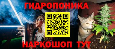 СК Краснознаменск